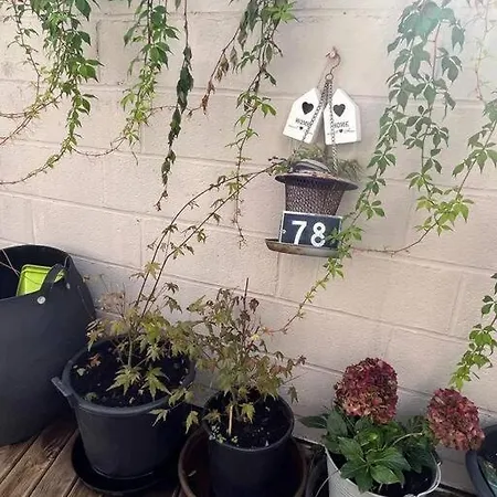 Joli Studio Avec Terrasse Appartement *