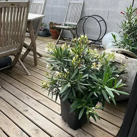 Joli Studio Avec Terrasse * Roubaix